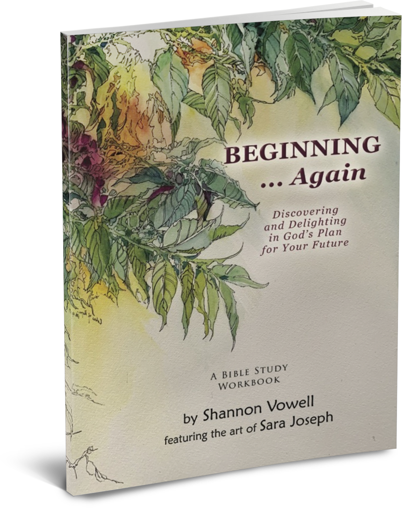Beginning...Again, Discovering God's plan for your future, A Bible Study by Shannon Vowell & Art by Sara Joseph