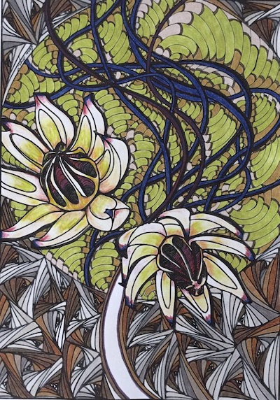 Seed, Nina Joseph's coloring page from the Power of the Seed: An Adult Coloring Devotional Journal by Sara Joseph